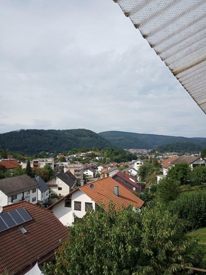 Ferienwohnung mit Aussicht Eberbach  Exterior foto
